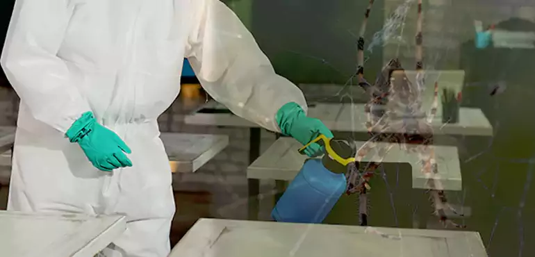 Why Buyers Still Want Homes With Pest Infestations in Seattle, WA?