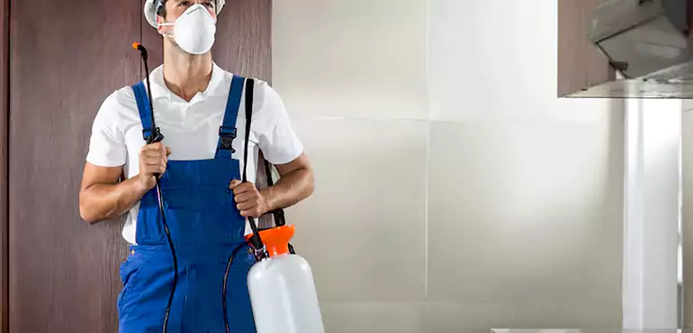 Why Seattle Homeowners Choose Us When Pests Make Selling Difficult